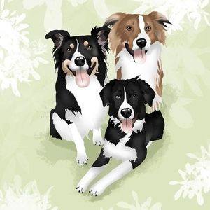 Meet your Posher, Carolynn-andy